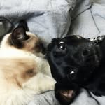 dave mallory - @davemallory9169 - Instagram