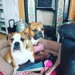 Dave Manders - @manders.dm - Instagram