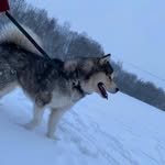 Dave Manning - @dave_manny - Instagram