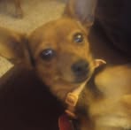 Dave Manny - Facebook