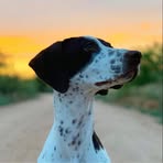 Dave Manny - Facebook