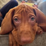 Dave Mano - @dmva411 - Instagram