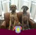 Dave Mansell - Facebook