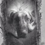 @davemansell37 - Instagram