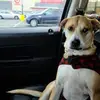 Dave Manuel - @dave.manuel29 - TikTok