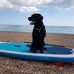 Dave Mapley - Facebook