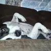 Dave Marcellus741 - @davemarcellus741 - TikTok