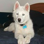 Dave Marchand - @davejmm - Instagram