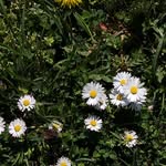 @dave_marcinus - Instagram