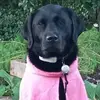 davemarkham2 - @davemarkham2 - TikTok
