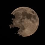 Dave Markley - @markleydave - Instagram
