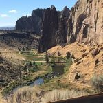 Dave Mayfield - @mayfield.dave - Instagram