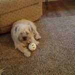 Dave Mayfield - @dave.mayfield.7967 - Instagram