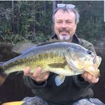 Dave McClellan - @mcclellan4244 - Instagram