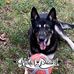 Dave McCutcheon - Facebook