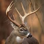 Dave Mcintosh - @mcintosh9875 - Instagram