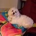 Dave Mcintosh - Facebook