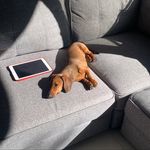 dave mcintosh - @handymandave - Instagram