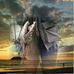 Dave Mckee - Facebook