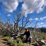 Dave Mckee - @dcslmckee - Instagram