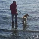 Dave McNulty - @dave_mcnulty - Instagram