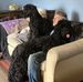 David McNulty - Facebook