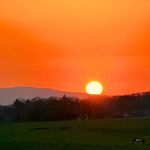 Dave Meadows - @davemeadows692 - Instagram