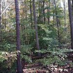 Dave Meadows - @meadows40 - Instagram