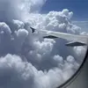 Dave means business - @readywait559 - TikTok