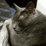 @davemecklosky - Instagram