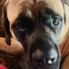 DaveMehalick - @davemehalick - TikTok