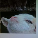 dave menard - @davemenard_ - Instagram