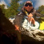 Dave Mercer - @factsoffishing - Instagram