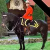 Dave Merchant - @dave.merchant - TikTok