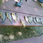 Dave Messer - @dave.messerjr.142 - Instagram