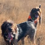 Dave Meyer - @flyfishydave - Instagram