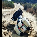 Dave Meyer - @no_fuckkks_given - Instagram