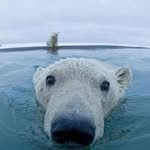 Dave Michalski - @advqst - Instagram