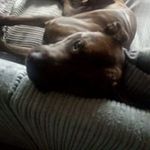Dave Milne - @dave.milne.568 - Instagram