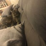 Dave Milward - @milwarddave - Instagram