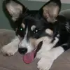 davemoen812 - @davemoen812 - TikTok