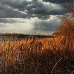 David Morey - @dave.morey - Instagram