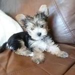 Dave Morley - @davemorley7 - Instagram