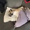 dave_mullins - @dave_mullins - TikTok