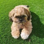 Dave Mullins - @baby.dave2020 - Instagram