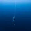 Dave Mullins - @davemullins418 - TikTok
