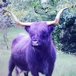 Dave Munro - @58cosmo - Instagram