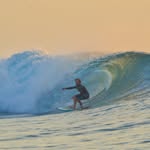 Dave Murphy - @triplehandsmurphy - Instagram