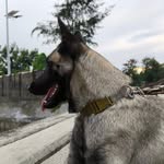 Dave Nadal - @masemotika - Instagram