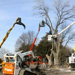 Dave Nadeau - @thetreeguysmn - Instagram